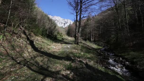 Piatra Craiului βουνά στα Ρουμανικά Καρπάθια — Αρχείο Βίντεο