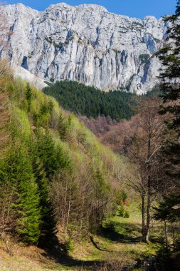 Prensin taş Dağları ve doğal Cerdacul Sta olarak adlandırılan