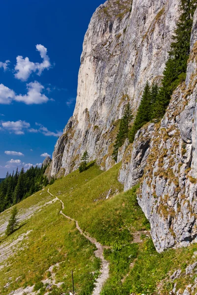 Sentier de montagne dans la montagne Piatra Craiului — Photo