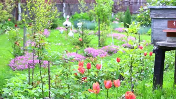 Квіти садові і вулики — стокове відео