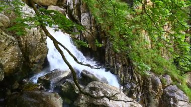 Vahşi Kanyon görkemli şelale