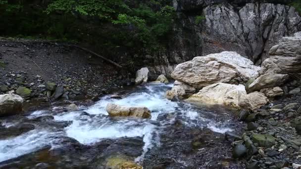 Rivière de montagne rapide 