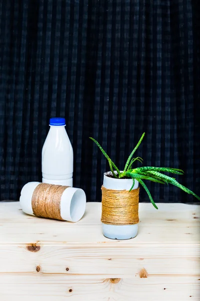 Aloe Vera in vaso riciclato — Foto Stock