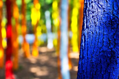 Çevre manifestosu Romanya 'nın Gorj kentinde bir ormana ağaç gövdeleri çizerek ormanların tahrip edilmesine karşı çıkıyor