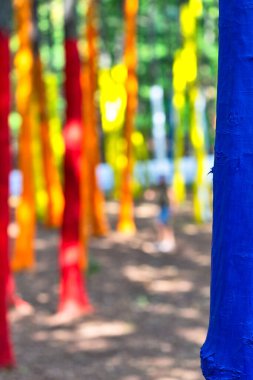 Çevre manifestosu Romanya 'nın Gorj kentinde bir ormana ağaç gövdeleri çizerek ormanların tahrip edilmesine karşı çıkıyor