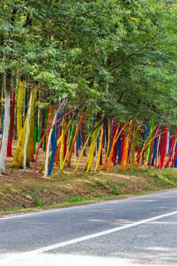 Çevre manifestosu Romanya 'nın Gorj kentinde bir ormana ağaç gövdeleri çizerek ormanların tahrip edilmesine karşı çıkıyor