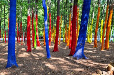 Çevre manifestosu Romanya 'nın Gorj kentinde bir ormana ağaç gövdeleri çizerek ormanların tahrip edilmesine karşı çıkıyor