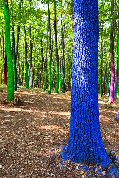 Манифест Окружающей Среде Освещает Вырубку Лесов Рисуя Стволы Деревьев Лесу — стоковое фото