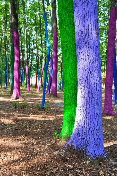 Manifest Środowiskowy Przeciwko Wylesianiu Poprzez Malowanie Pni Drzew Lesie Poienari — Zdjęcie stockowe