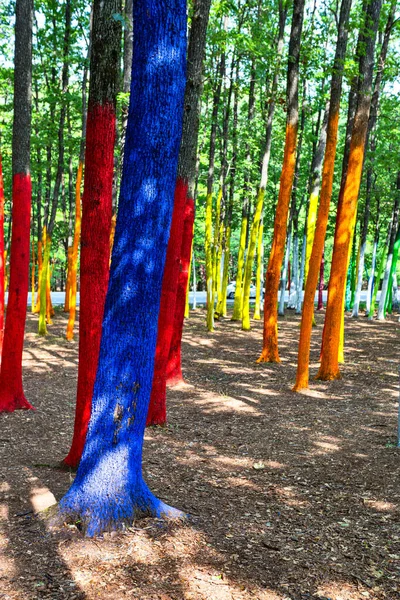 Manifesto Ambiental Combate Desmatamento Pintando Troncos Árvores Uma Floresta Poienari — Fotografia de Stock