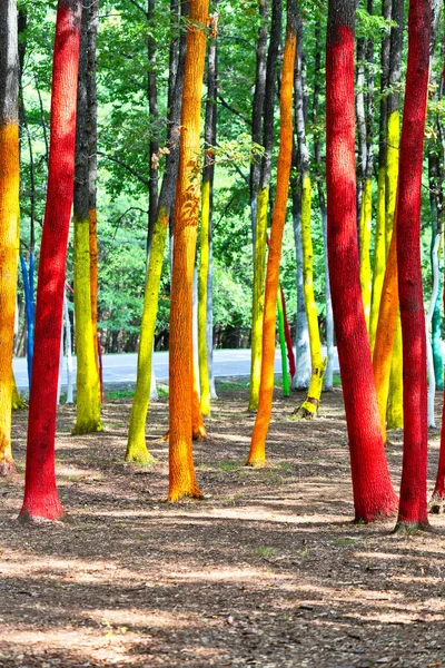 Manifest Środowiskowy Przeciwko Wylesianiu Poprzez Malowanie Pni Drzew Lesie Poienari — Zdjęcie stockowe