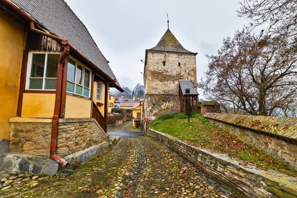 Sighisoara medieval citadel — Stock Photo, Image