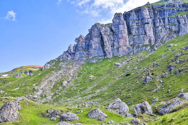 Moutons sur les montagnes Bucegi en Roumanie — Photo