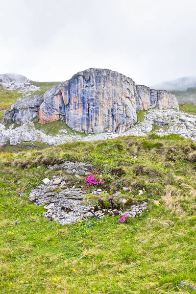 Macetul Turcesc im Bucegi-Gebirge in Rumänien — Stockfoto