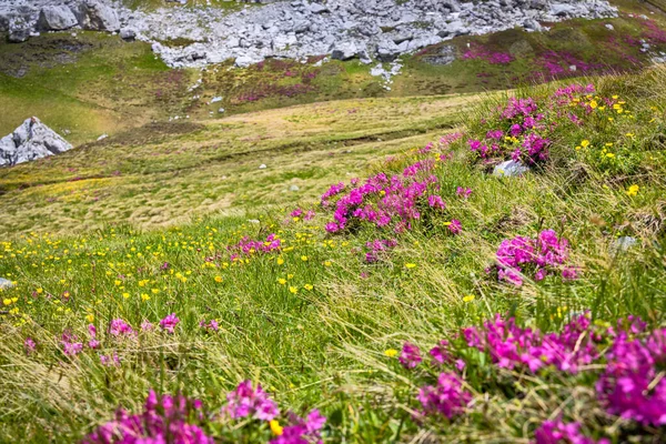 Bucegi montanhas na Romênia — Fotografia de Stock