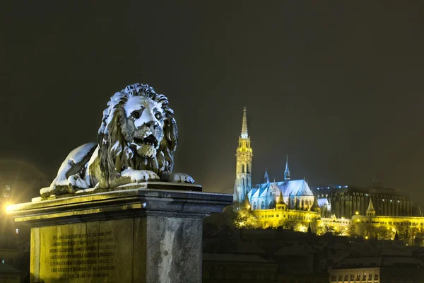 Ponte delle catene di Budapest — Foto Stock