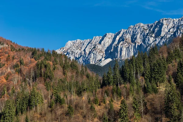 Βουνό Piatra Craiului το φθινόπωρο — Φωτογραφία Αρχείου