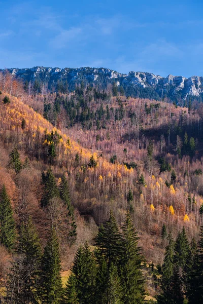 Sonbaharda Piatra Craiului dağ — Stok fotoğraf