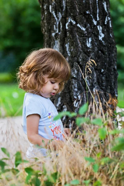 Niedliches kleines Mädchen in der Nähe von Birke — Stockfoto