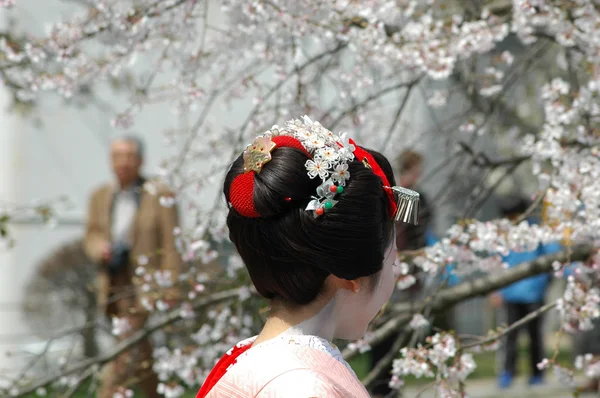 Maiko. — Fotografia de Stock