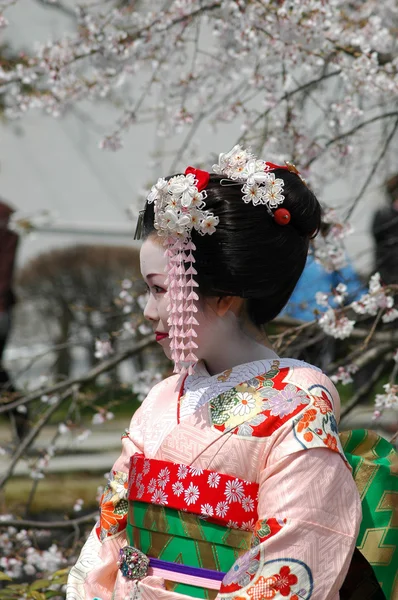 Maiko. — Fotografia de Stock