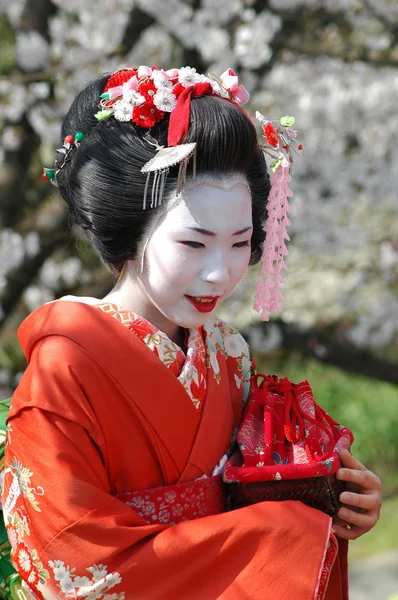 Maiko. — Fotografia de Stock