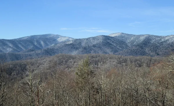 Inverno Nas Grandes Montanhas Fumegantes Carolina Norte — Fotografia de Stock