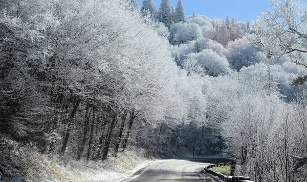 Зима Великих Дымчатых Горах Северной Каролины Стоковое Изображение