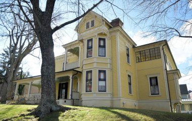 Florida 'da Boyalı Kadın Bunting