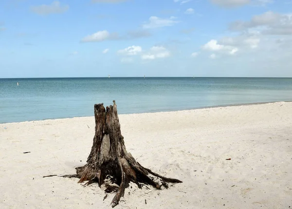 Ηλιοβασίλεμα Στο Lover Key Κοντά Στο Bonita Springs Φλόριντα — Φωτογραφία Αρχείου