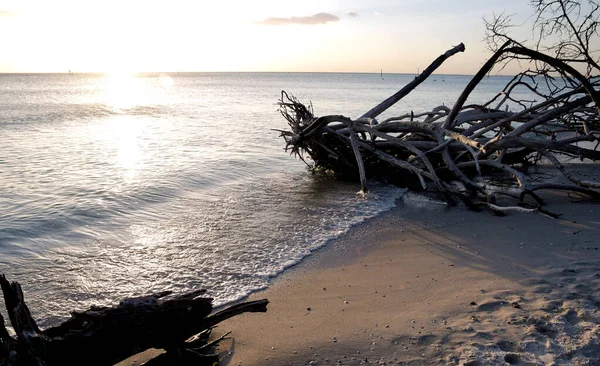 Sonnenuntergang Bei Lover Key Der Nähe Von Bonita Springs Florida — Stockfoto