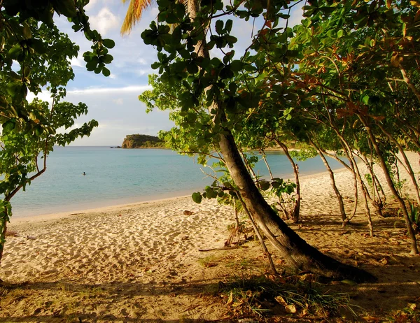 Utsikt från tortola — Stockfoto