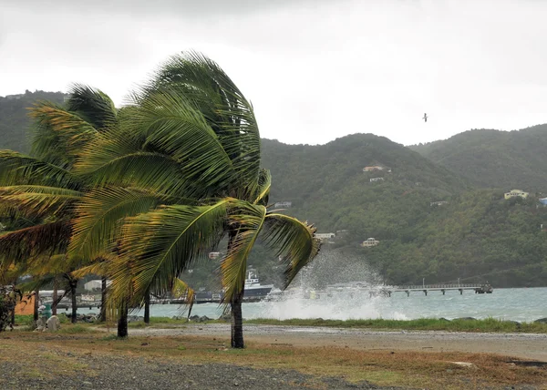 De wind — Stockfoto