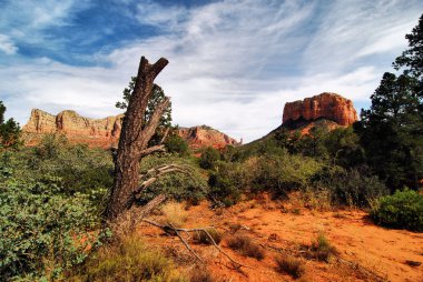 Sahne dışarı Batı