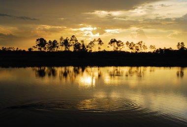 Timsah Ripples