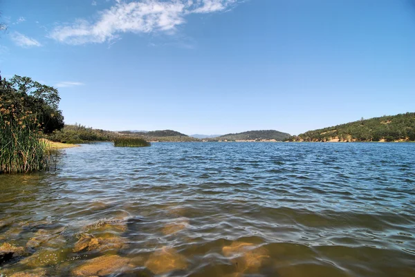 Junto al lago — Foto de Stock