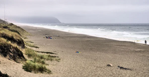 Pacific Sand — Stock Photo, Image