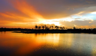 Florida sulak günbatımı