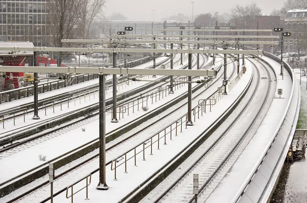 Rotterdam Holanda Janeiro 2019 Trilhas Ferroviárias Que Levam Estação Central — Fotografia de Stock