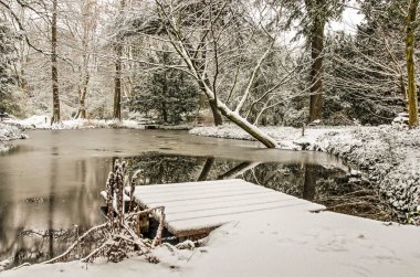 Rotterdam, Hollanda, 22 Ocak 2020: Schoonoord Park 'taki gölet etrafında sakin bir kış manzarası