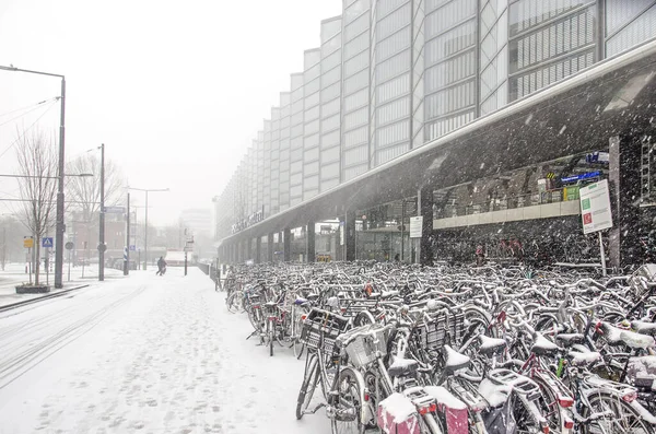 Rotterdam Netherlands January 2019 Rear Facade Central Station Snow Storm — Stock Photo, Image