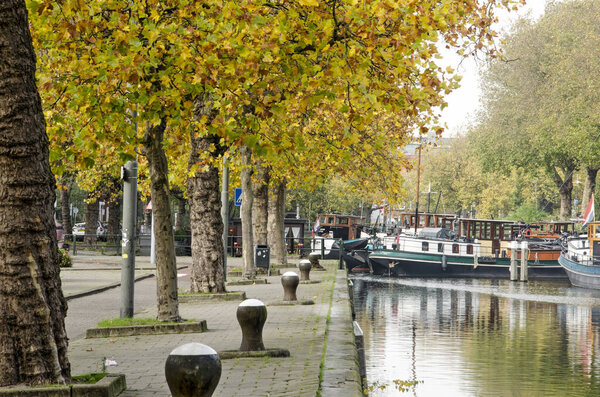 Schiedam, the Netherlands, October 23, 2020: historic barges, mooring bollards and plane trees in autumn colors at Nieuwe Haven canal in autumn