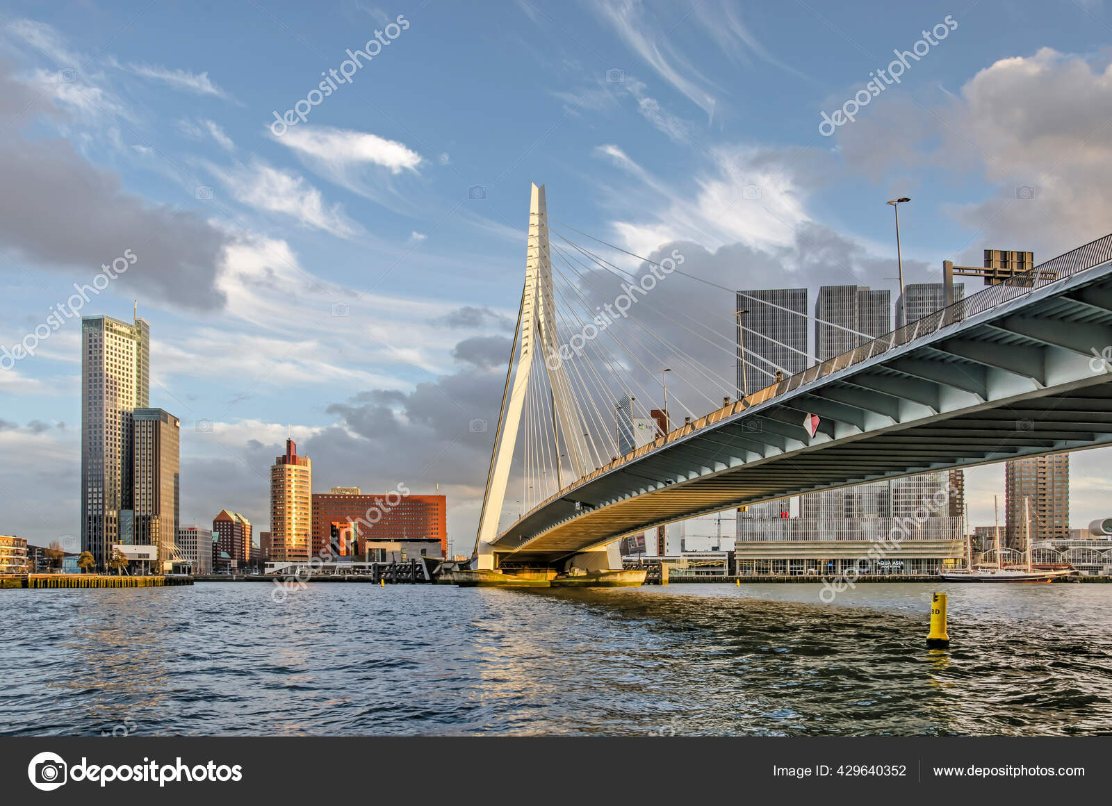 Rotterdam Netherlands November 2020 Deck Cables Pylon Erasmus Bridge