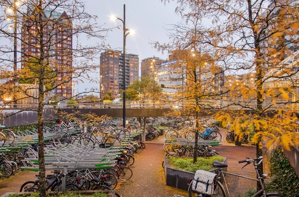 Rotterdam Oktober 2020 Gezonken Fietsenstalling Bij Station Blaak Met Bomen — Stockfoto