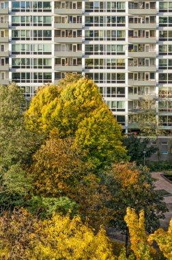 Rotterdam, Hollanda, 6 Eylül 2020: Lijnbaan bölgesindeki parkların birinde 1960 'lardan kalma konut binaları ile çevrili renkli ağaçlar