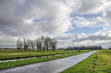 Hollanda 'nın Gouda kenti yakınlarındaki Oostpolder' de dramatik bir gökyüzü altında dar asfalt yol