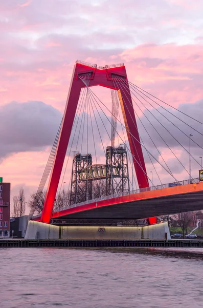 Rotterdam Hollanda Ocak 2021 Güneş Doğarken Willems Köprüsü Nün Direkleri — Stok fotoğraf