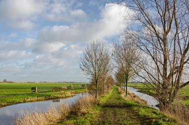 Hollanda 'nın Gouda kenti yakınlarındaki tarihi Steinse Tiendweg' de her iki tarafında ağaçlar, su ve çayırlarla kaplı bir patika.