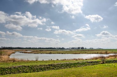 Hollanda, Spijkenisse yakınlarındaki Wolvenpolder doğa koruma alanına dağılmış bulutlarla mavi gökyüzü