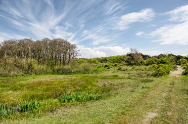 Güneşli bir bahar gününde Hollanda 'nın Voorne adasında, Rockanje yakınlarındaki kumullarda sirrus bulutları olan güzel yeşil bir manzara boyunca uzanan kumyolu.